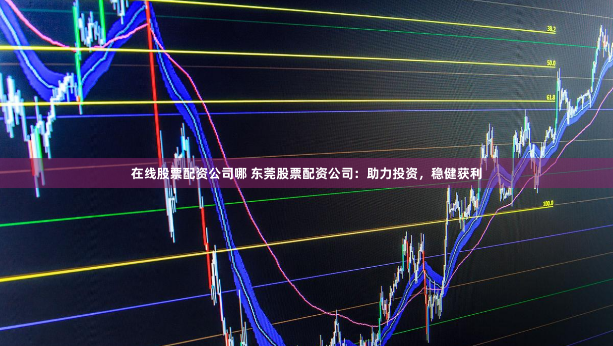 在线股票配资公司哪 东莞股票配资公司：助力投资，稳健获利
