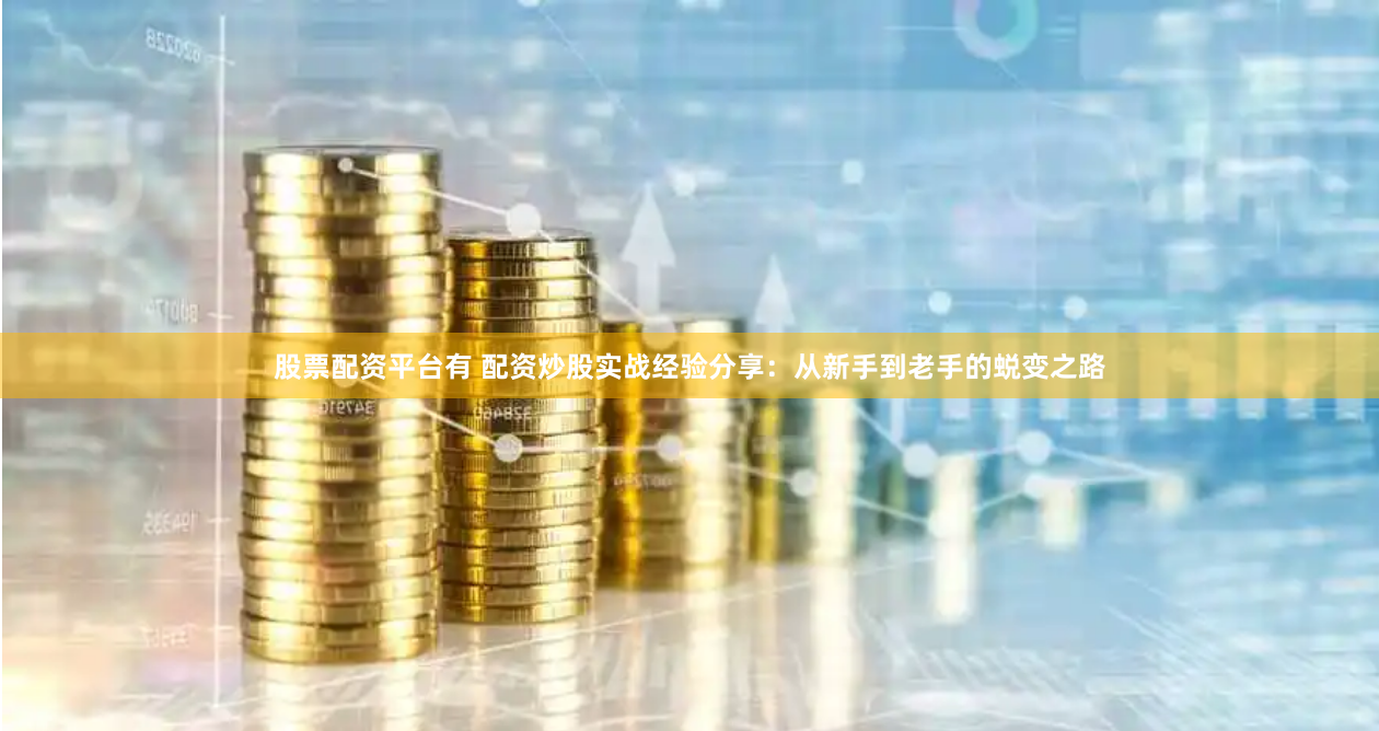 股票配资平台有 配资炒股实战经验分享：从新手到老手的蜕变之路