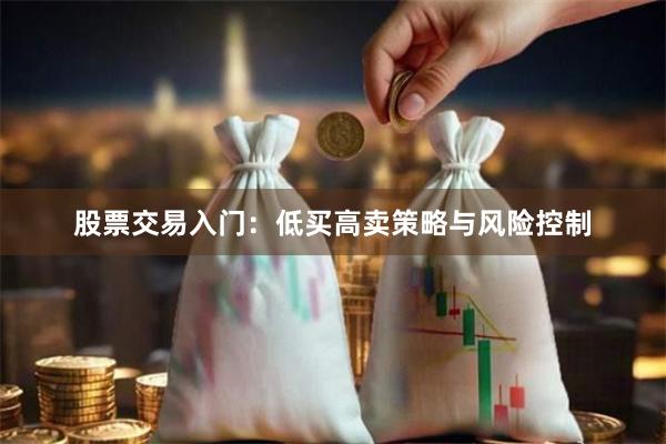 股票交易入门：低买高卖策略与风险控制
